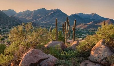 Cabinet IQ of Scottsdale